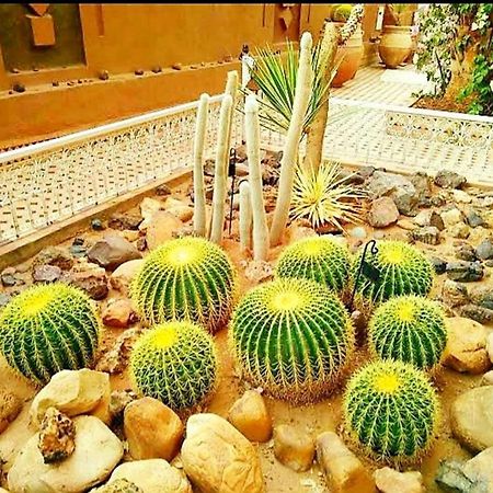 Riad Dar Sofian Загора Экстерьер фото