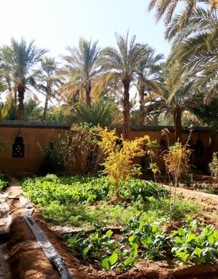 Riad Dar Sofian Загора Экстерьер фото